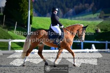 ref. photo 3553319