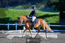 ref. photo 3553323