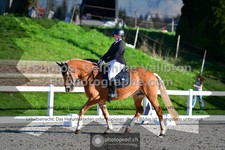 ref. photo 3553324