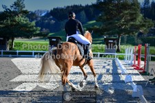ref. photo 3553325