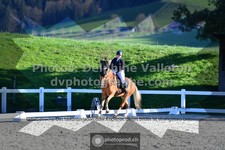 ref. photo 3553326