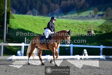 ref. photo 3553328