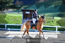 ref. photo 3553329
