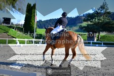 ref. photo 3553331