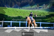 ref. photo 3553332