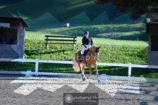 ref. photo 3553335