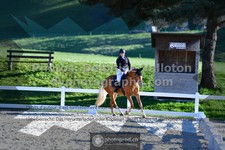 ref. photo 3553337