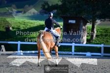 ref. photo 3553341