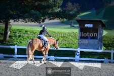 ref. photo 3553342