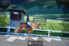 ref. photo 3553343