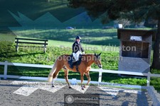 ref. photo 3553344