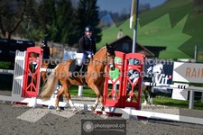ref. photo 3553347
