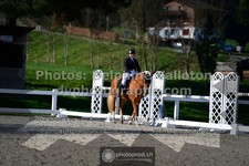 ref. photo 3553349