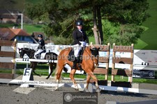 ref. photo 3553354