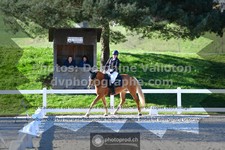ref. photo 3553357