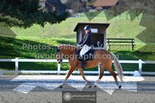 ref. photo 3553361