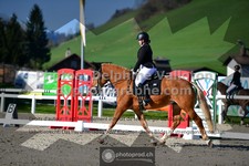 ref. photo 3553364