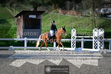 ref. photo 3553366