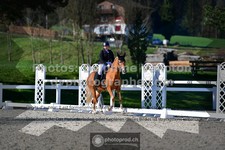 ref. photo 3553367