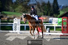 ref. photo 3553370