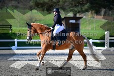 ref. photo 3553371