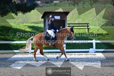 ref. photo 3553372