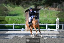 ref. photo 3553373