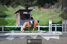 ref. photo 3553374