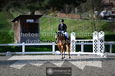 ref. photo 3553375