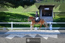ref. photo 3553382