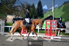ref. photo 3553386