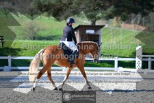 ref. photo 3553389