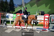 ref. photo 3553390