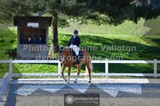 ref. photo 3553393