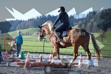 ref. photo 3553408