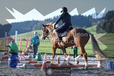 ref. photo 3553409