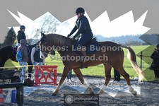 ref. photo 3553412