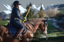 ref. photo 3553414