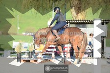 ref. photo 3553416