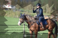 ref. photo 3553418