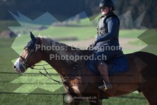 ref. photo 3553420