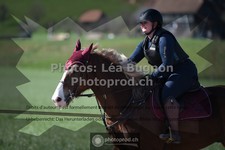 ref. photo 3553438