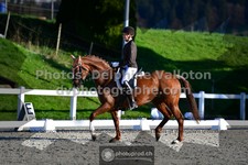 ref. photo 3553440