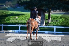 ref. photo 3553442