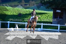 ref. photo 3553443