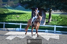 ref. photo 3553444