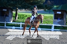 ref. photo 3553445