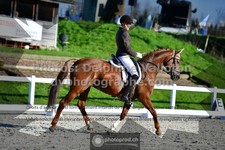 ref. photo 3553446