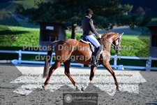 ref. photo 3553448