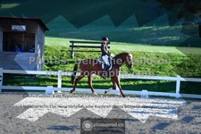 ref. photo 3553449